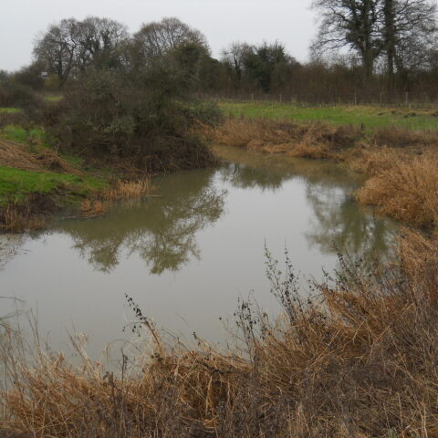 River Arun, Lee Place