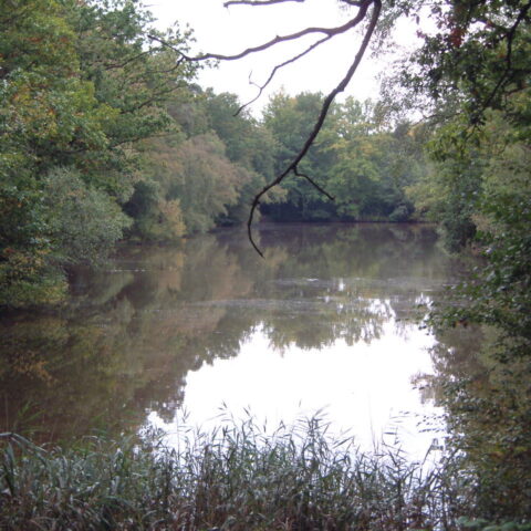 Roosthole Pond