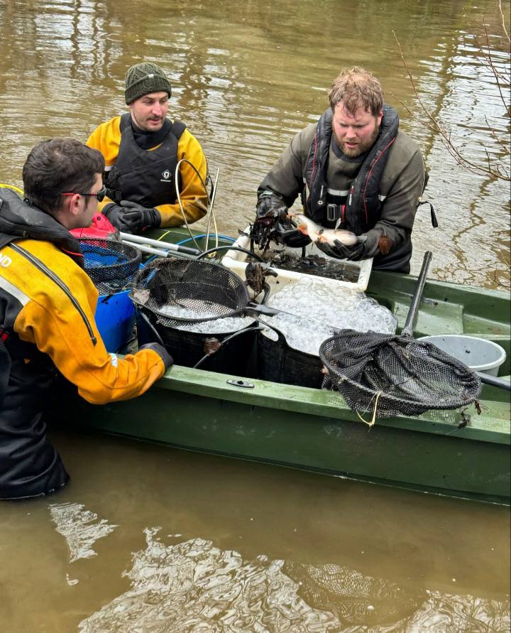 Foxhole netting and stock relocation